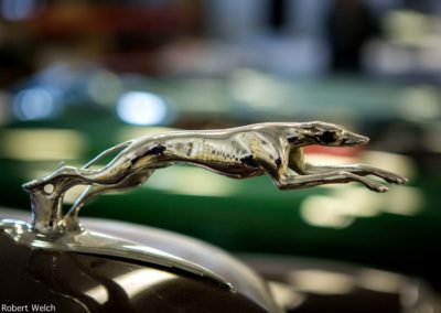detail shot of the greyhound hood ornament on a 1937 Lincoln car