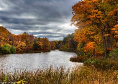 autumn scene by a lake in the NY Finger Lakes region