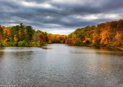 "autumn scene with colorful leaves at Lake Eastman under overcast sky"