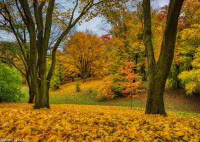 autumn scene at Highland Park Rochester NY