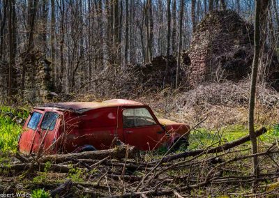 "springtime scene of forest, ruins of an old stone barn and an abandoned Mini Cooper"