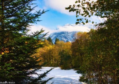 mountain and forest after early snowfall in the Alps