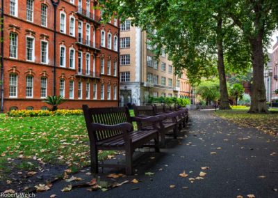quiet space in London's Mount Street Garden