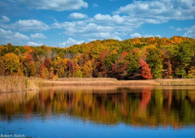 "vivid autumn view of Round Pond in Mendon Ponds with reflection of colorful trees and reeds"