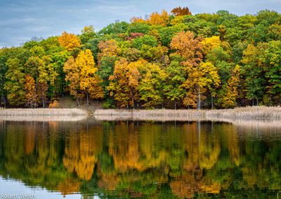 "autumn scene with colorful trees and some still green, reflected in a pond"