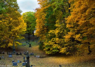 Mt Hope cemetery shot from a drumlin (ridge) in autumn