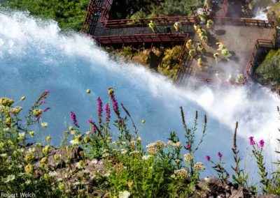 downward view of Bridal Veil Falls and wildflowers at Niagara
