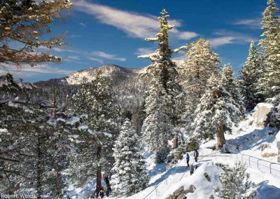 "fresh snow covers the landscape atop Mt. Jacinto in California"