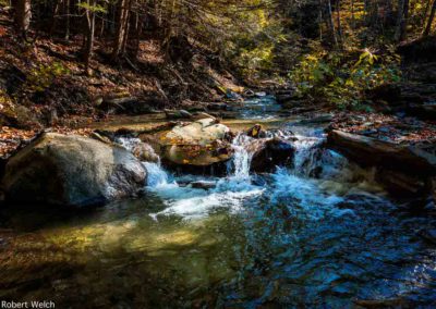 "a stream and small waterfall over rocks at Reynolds Gully in New York Finger Lakes"