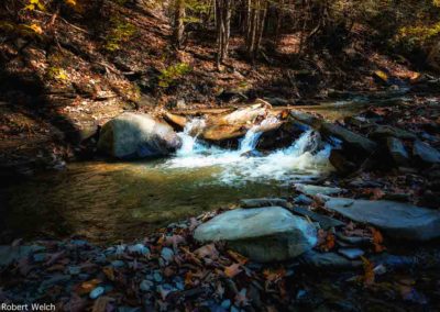 "a stream and small waterfall over rocks at Reynolds Gully in New York Finger Lakes"