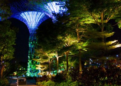 night view in Singapore's Gardens by the Bay showing path, illuminated trees and super trees