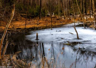 ice breaks up on a pond in March