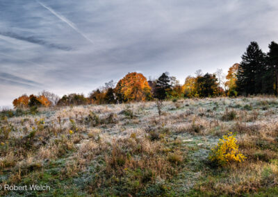 "frost covered grasses and wildflowers on hill in autumn"